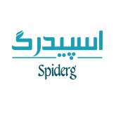 اسپیدرگ